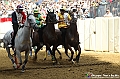 VBS_1041 - Palio di Asti 2024